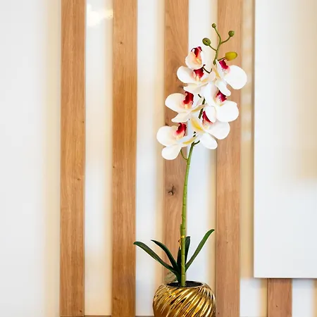 Апартаменты Todorovic Lux Врнячка-Баня