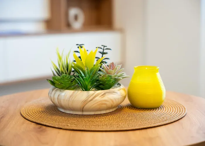 Todorovic Lux Vrnjačka Banja