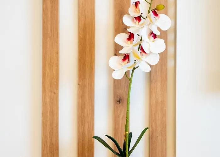 شقة Todorovic Lux Vrnjačka Banja